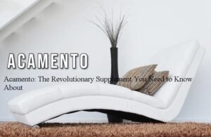 Acamento_-Redefining-Modern-Living-and-Style-300x195 Acamento: The Revolutionary Supplement You Need to Know About