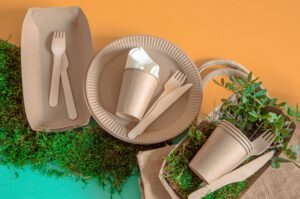 eco-craft-paper-tableware-2048x1358-1-300x199 Pappedeckel: The Future of Eco-Friendly Packaging