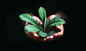 wqe2-300x180 Dihward: The Future of Ethical and Smart Digital Platforms