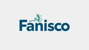images Fanisco: Redefining the Digital Experience