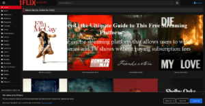 12-300x155 1Flix Uncovered | The Ultimate Guide to This Free Streaming Platform