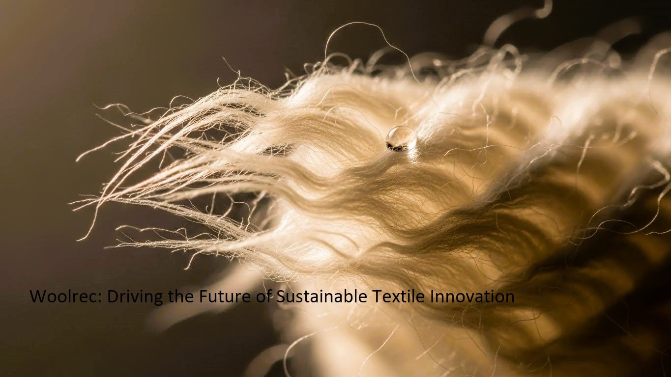 Woolrec: Driving the Future of Sustainable Textile Innovation