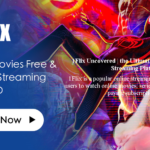 1Flix Uncovered | the Ultimate Guide to This Free Streaming Platform 1Flix is a popular online streaming platform that allows users to watch online movies, series and TV shows without paying subscription fees