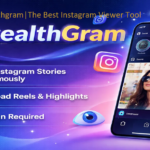 Stealthgram|The Best Instagram Viewer Tool